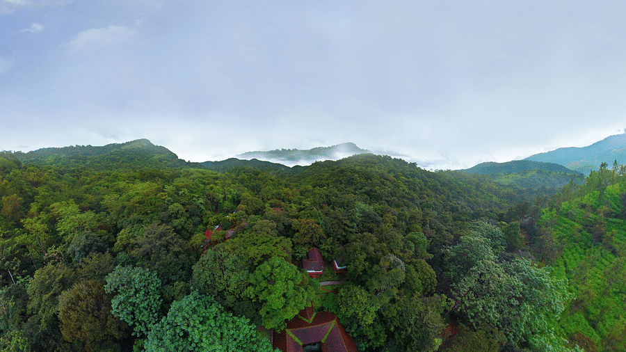 An aerial view of greenery with a backdrop of clear sky | Vythiri Resort, Wayanad